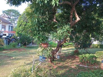Dijual Rumah Mewah Luas 875 m2 Citra Gran Cibubur