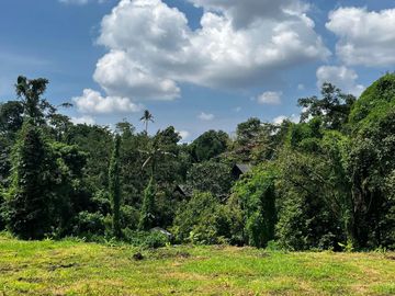 Dijual Tanah Abiansemal Dekat Daerah Ubud Komplek Villa Siap Bangun