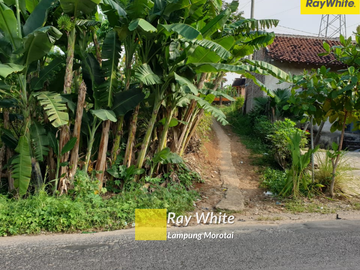 Dijual Tanah Di JL. Pangeran M. Noer, Teluk Betung Barat, Bandar Lampung (Kode : 3565)