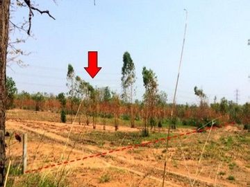 Z3T0061 ขายที่ดินเปล่า ตำบล นาฝาย อำเภอ เมืองชัยภูมิ จังหวัด ชัยภูมิ