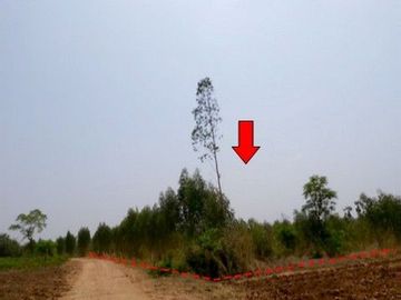 Z3T0110 ขายที่ดินเปล่า ตำบล รอบเมือง อำเภอ เมืองชัยภูมิ จังหวัด ชัยภูมิ