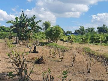 FOR SALE - Lot with structures in San Antonio, Lubao, Pampanga