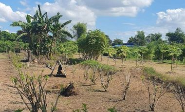 FOR SALE - Lot with structures in San Antonio, Lubao, Pampanga