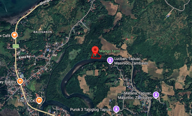 📌 FOR SALE: AGRICULTURAL LOT IN PASIG TAPUAC – MASINLOC, ZAMBALES
