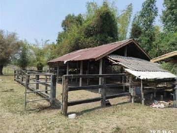 ZHL0219 ขายโกดังเลี้ยงสัตว์ ตำบล นิคม อำเภอ สหัสขันธ์ จังหวัด กาฬสินธุ์