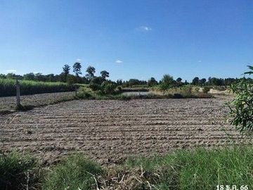 Z3A2224 ขายโกดัง ตำบล ลำหนองแสน อำเภอ หนองกุงศรี จังหวัด กาฬสินธุ์