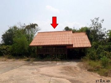 Z3A1162 ขายโกดัง ตำบล เหนือ อำเภอ เมืองกาฬสินธุ์ จังหวัด กาฬสินธุ์