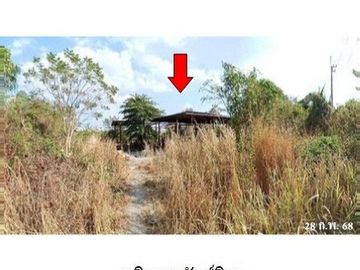 ZHL0073 ขายบ้านเดี่ยว ตำบล หนองแวง อำเภอ สมเด็จ จังหวัด กาฬสินธุ์