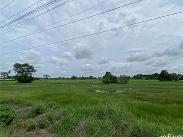 Z4T0923 ขายที่ดินเปล่า ตำบล ยางตลาด อำเภอ ยางตลาด จังหวัด กาฬสินธุ์