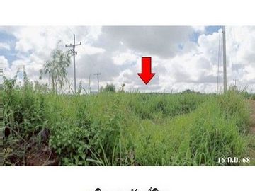 ZLL0088 ขายที่ดินเปล่า ตำบล สหัสขันธ์ อำเภอ สหัสขันธ์ จังหวัด กาฬสินธุ์