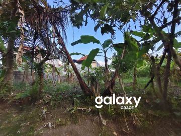 DIJUAL CEPAT TANAH DEKAT RS ARICHANTI DI MAS UBUD GIANYAR