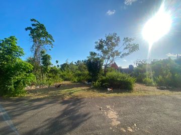 Tanah Jual Jl. Lalang Ambu II, Jimbaran