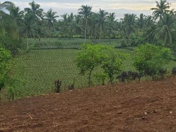 RUSH! FARM LOT for Sale in Cavite Philippines