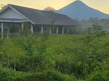 Di jual ex RESTO RAMAI  view gunung non pertanian pacet siap buka