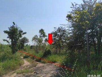 Z3T0064 ขายที่ดินเปล่า ตำบล นาฝาย อำเภอ เมืองชัยภูมิ จังหวัด ชัยภูมิ