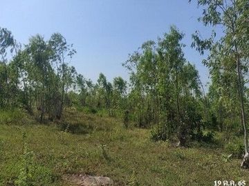 Z3T0150 ขายที่ดินเปล่า มรกต ตำบล นาฝาย อำเภอ เมืองชัยภูมิ จังหวัด ชัยภูมิ