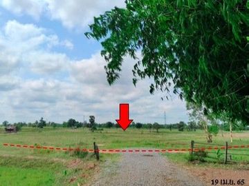 Z3T0116 ขายที่ดินเปล่า ตำบล รอบเมือง อำเภอ เมืองชัยภูมิ จังหวัด ชัยภูมิ