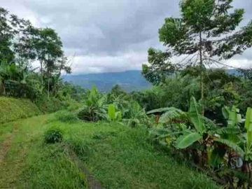 Jual lahan view idaman Kemuning ngargoyoso karanganyar
