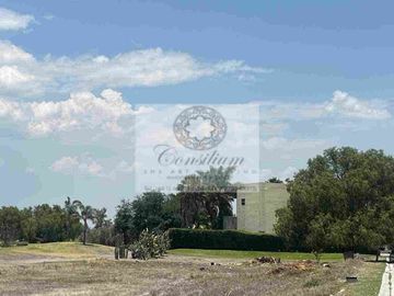 Terreno venta Alamo country calle Paris conócelo 700metros $4,125,000