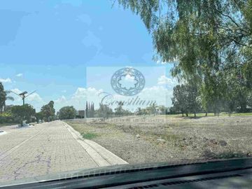Terreno venta Alamo country calle Paris conócelo 700metros $4,125,000