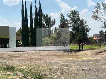 Terreno venta Alamo country calle Paris conócelo 700metros $4,125,000