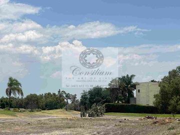 Terreno venta Alamo country calle Paris conócelo 700metros $4,125,000