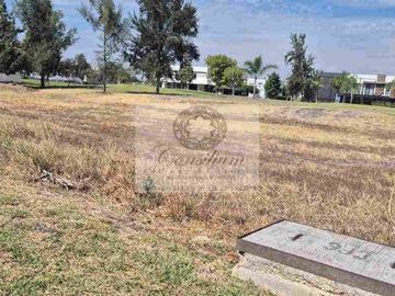 Terreno venta Alamo country calle Paris conócelo 700metros $4,125,000