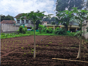 Chat Sekarang! Tanah 700 m² SHM di Area Berkembang Jatinangor