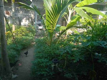 jual murah rumah lokasi strategis 4 menit k  jln raya propinsi di pulorejo Ngoro Jombang  Jatim