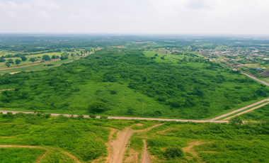 Residential Lots Available for Sale at Sereneo Nuvali, Laguna by Alveo Land