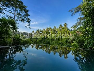 Sacred Jungle Retreat: A High-Yield Investment in the Heart of Ubud's Wellness Corridor