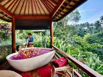 Sacred Jungle Retreat: A High-Yield Investment in the Heart of Ubud's Wellness Corridor