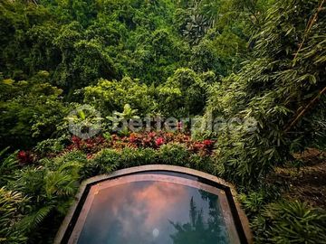 Sacred Jungle Retreat: A High-Yield Investment in the Heart of Ubud's Wellness Corridor