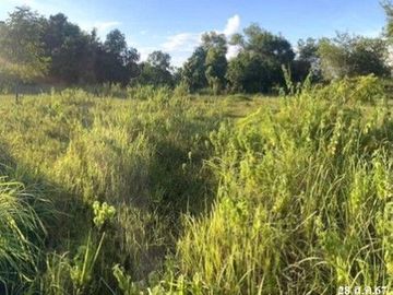 ZLL0058 ขายที่ดิน ตำบล วัดหลวง อำเภอ โพนพิสัย จังหวัด หนองคาย