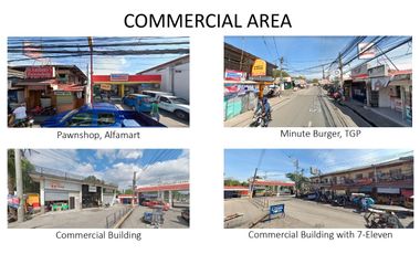 Cavite lot for sale 576sqm near Sangley Point Sangley Airport