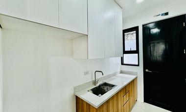 5BR Brand New House and Lot with Pool for Sale in BF Homes Parañaque City