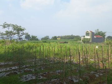 Tanah Malang 5 Menit Kampus UB Malang Row Jalan 6 Meter Cocok Dibangun Rumah