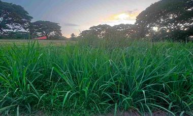 Lot for Sale in Elaro Nuvali