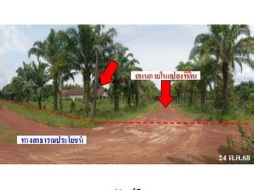 ZHL0097 ขายบ้านเดี่ยว ตำบล ม่วง อำเภอ บ้านม่วง จังหวัด สกลนคร