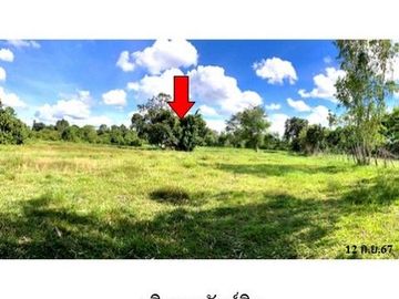 ZLL0055 ขายที่ดิน ตำบล ขามใหญ่ อำเภอ เมืองอุบลราชธานี จังหวัด อุบลราชธานี