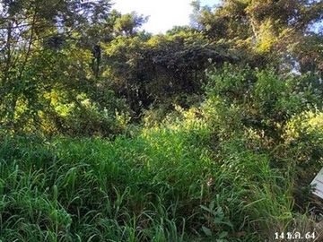 Z3A0228 ขายที่ดิน ตำบล ธาตุ อำเภอ วารินชำราบ จังหวัด อุบลราชธานี