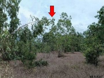ZLL0075 ขายที่ดิน ตำบล นากระแซง อำเภอ เดชอุดม จังหวัด อุบลราชธานี