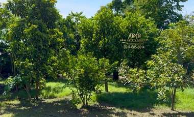 1,171 sqm House and Lot Pob Villasis, Pangasinan