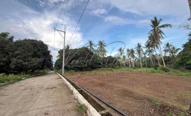 1000 sqm lot for sale at Indang Cavite with ready utilities