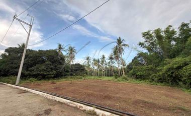 1000 sqm lot for sale at Indang Cavite with ready utilities