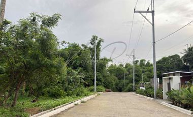 1000 sqm lot for sale at Indang Cavite with ready utilities