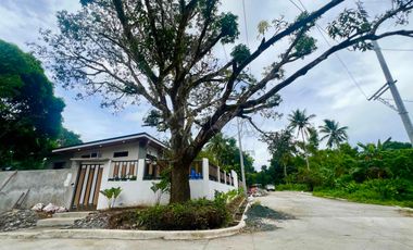 1000 sqm lot for sale at Indang Cavite with ready utilities