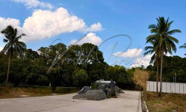 1000 sqm lot for sale at Indang Cavite with ready utilities