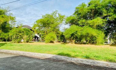 Vacant Lot For Sale in Pramana Residential Park Sta Rosa Laguna -  R1560