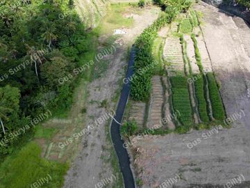 DI JUAL TANAH STRATEGIS DI BADUNG BALI 🔥 Dekat Area Komersial | Investasi Menjanjikan | Harga Terus Naik!